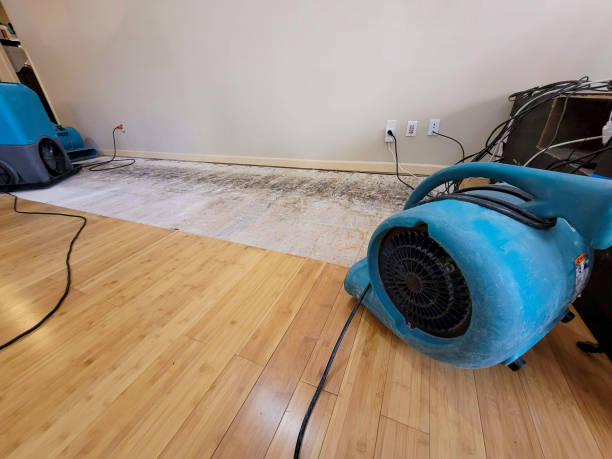 Professional Water Extraction technician working in Auburndale, WI
